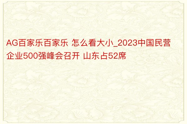 AG百家乐百家乐 怎么看大小_2023中国民营企业500强峰会召开 山东占52席